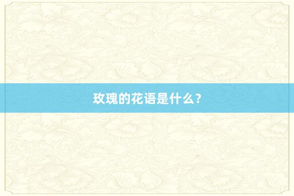玫瑰的花语是什么？