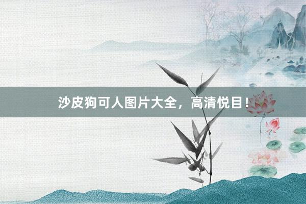 沙皮狗可人图片大全，高清悦目！